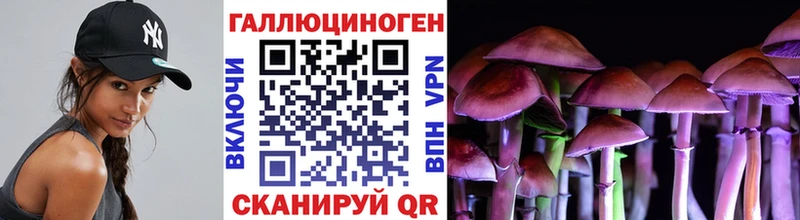 Купить закладки  Заволжье  Галлюциногенные грибы мухоморы 